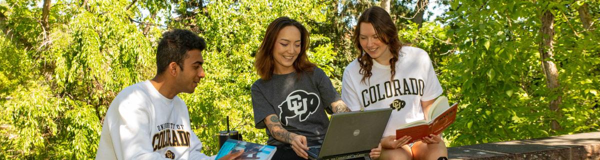 Image of students studying on laptops