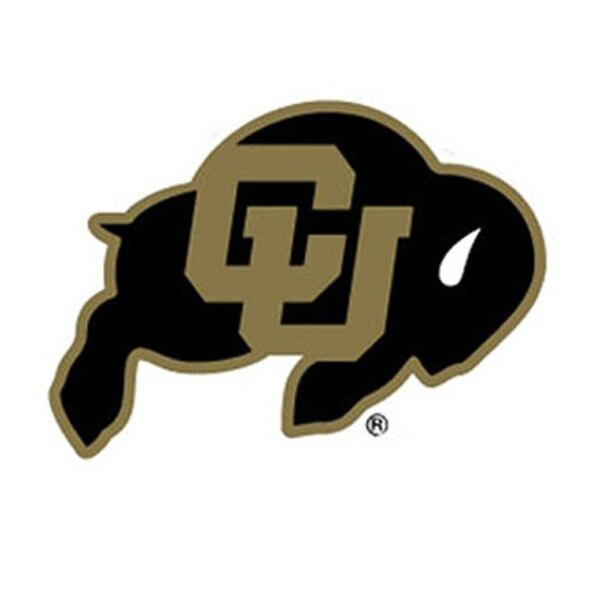 A Black and Gold CU Buffalo Magnet.