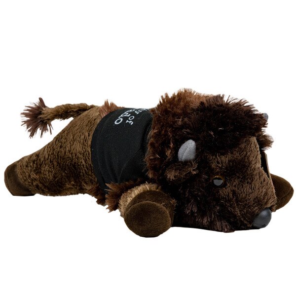 CU buffalo mascot plush wearing black t-shirt with "University of Colorado" written in white text.