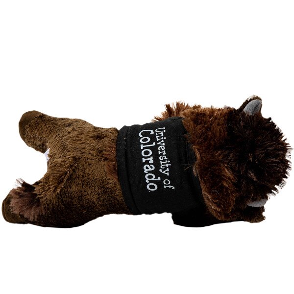 Brown plush buffalo toy wearing a black shirt with "University of Colorado" printed in white text.