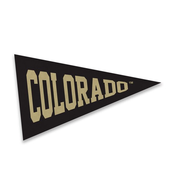 This is a black felt mini pennant magnet with gold text. The text is bold and blocky.