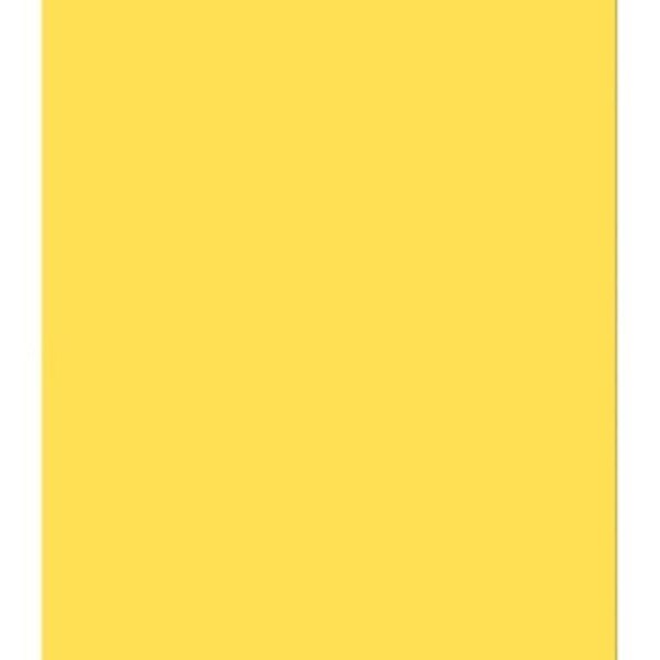 A twenty two by twenty eight inch yellow poster board.