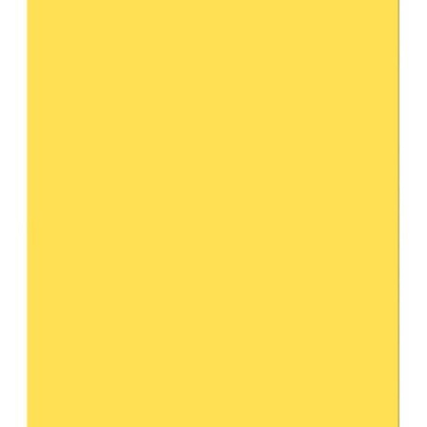 A twenty two by twenty eight inch yellow poster board.