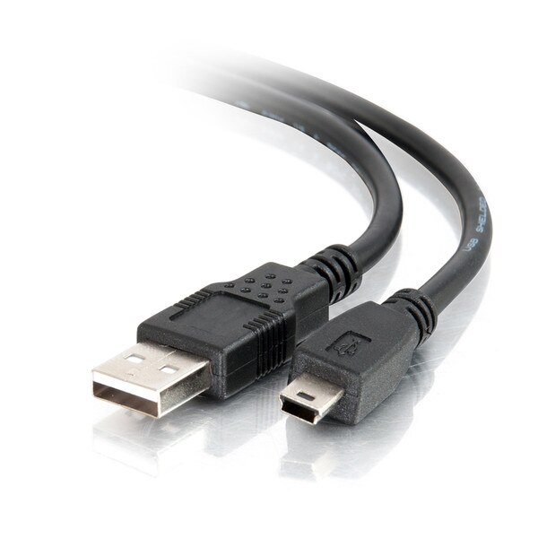 A black USB to USB mini-B cord.