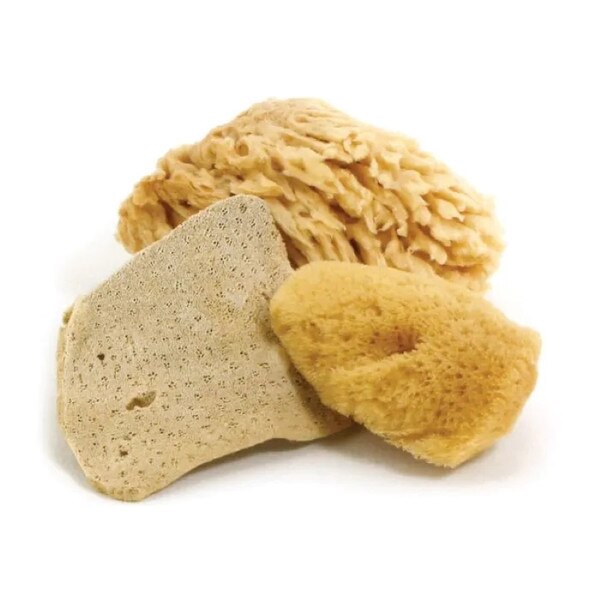 3 sponges with varying textures meant for arts and crafts.
